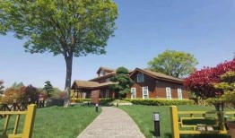 大连事故爆料最新消息查询,揭秘事故原因与后续处理措施